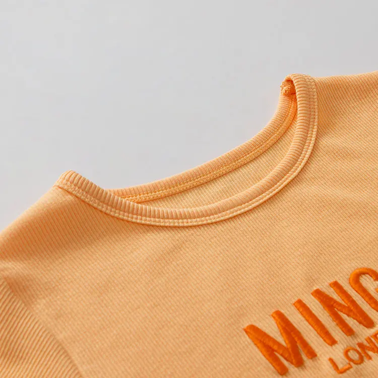 Harajuku vintage ins hot candy color purple orange white letters embroidery lace crop top tee tshirt YQ-1025