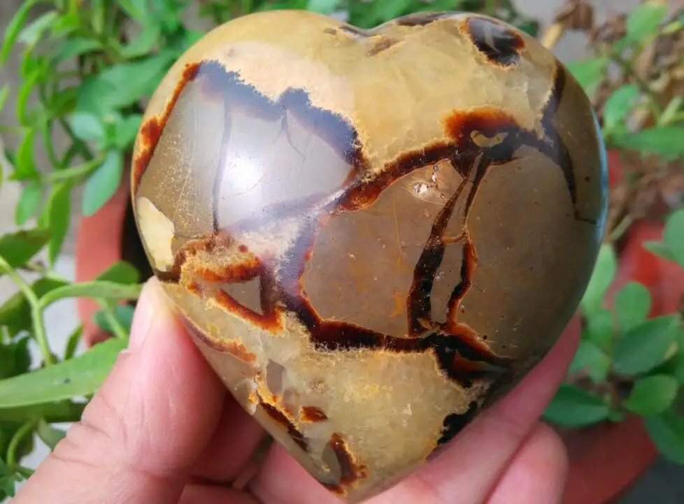 260 г Septarian Дино &quotКамень Дракона&quot в форме сердца образец|specimen| |