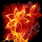 2018 5D алмазная живопись, мозаика, вышивка крестиком, огненный цветок, алмазная вышивка сделай сам, алмазная живопись, стразы, домашний декор, подарок