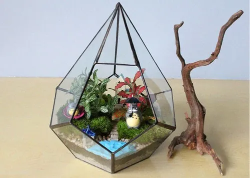 Идеально стекло парниковых суккуленты микро пейзаж + железо связывания