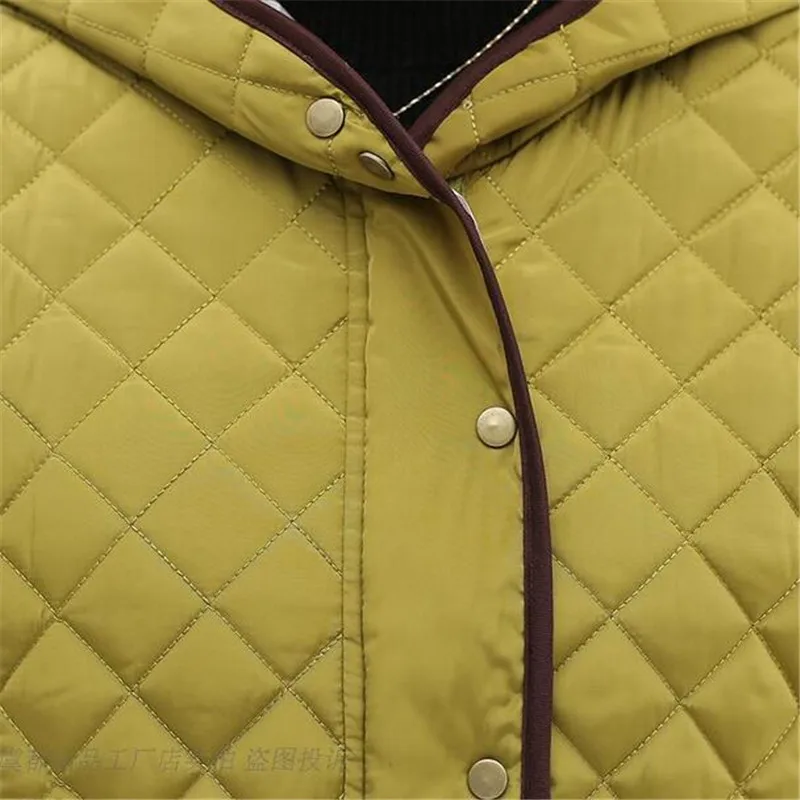 Новинка 2017 осенне-зимняя модная короткая куртка для женщин среднего и старшего