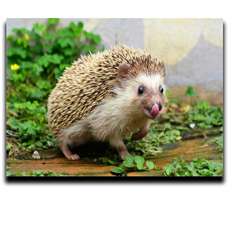 DIY painting Diamond cross stitch Embroidery kit Full 3d square mosaic Strass Photos Hedgehog |