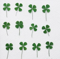 120pcs pressed dried clover leaf dry plants for epoxy resin pendant necklace jewelry making craft diy accessories