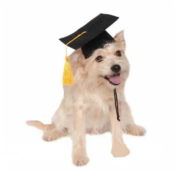 Pet Выпускной колпачки с желтой кисточкой собака кошка праздничный костюм Хэллоуин платье TB распродажа