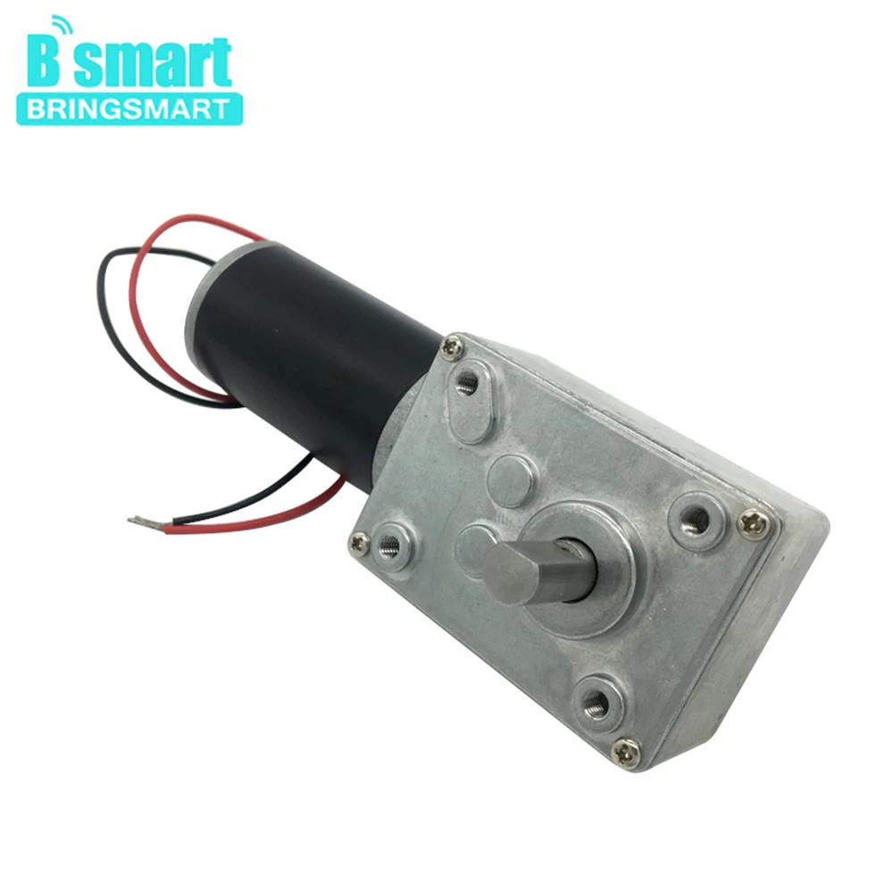 Bringsmart 12 В Электрический редуктор ковшовый редуктор 24VDC червячный двигатель с высоким крутящим моментом редуктор обратный редуктор коробка двигателя для DIY A58SW31ZYS