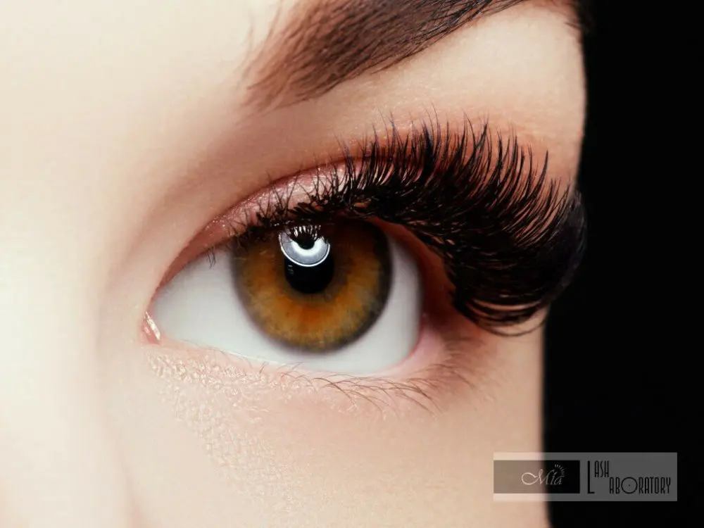 

[.07/.10 C/D/DD/D +] Mia