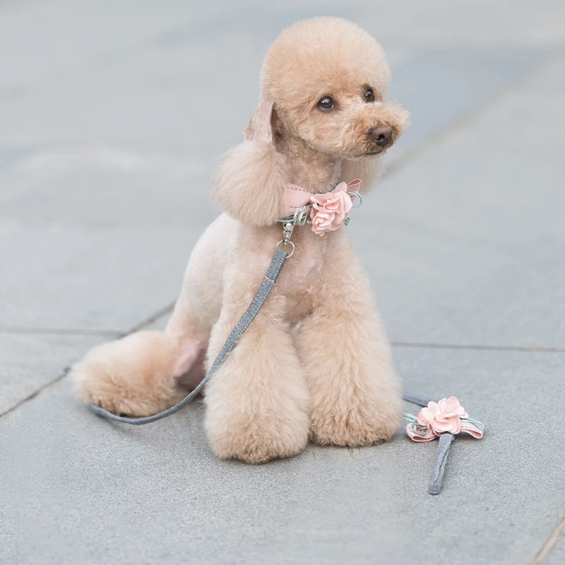 Цветок кошка собака ошейник поводки ожерелье Собака Щенок Ошейник розовый синий