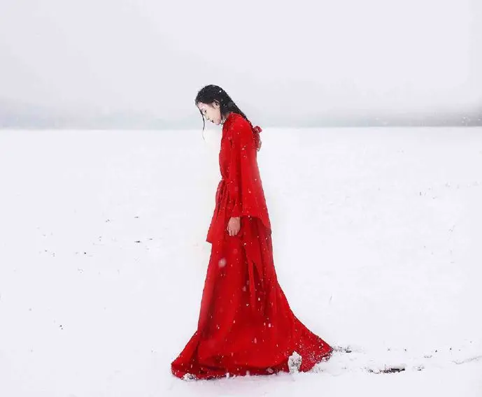 Женский костюм ханьфу для косплея династии Вей Цзинь Гонконгский красный цветок