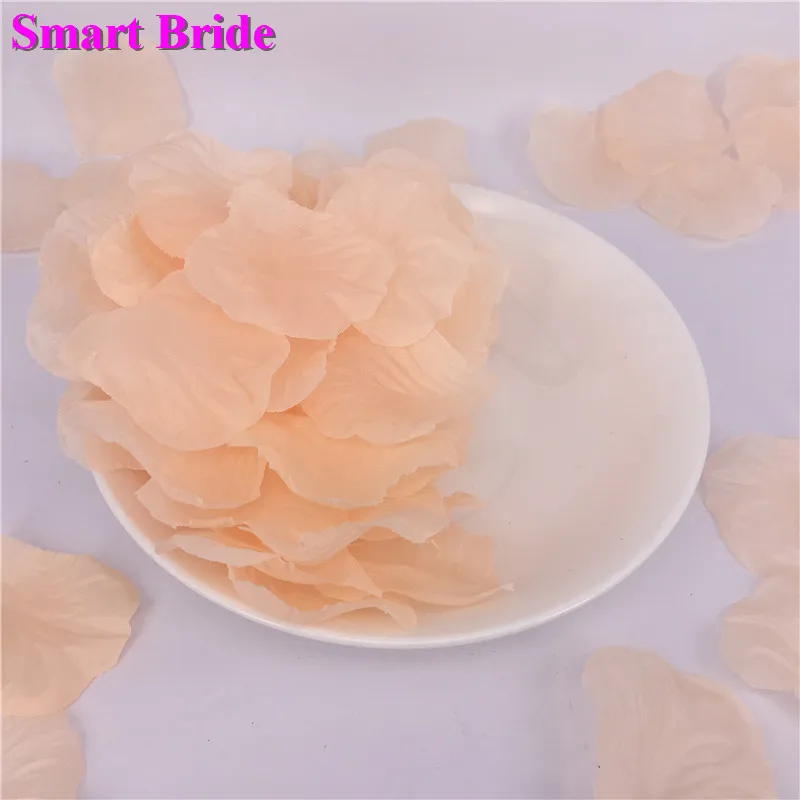 Лепестки роз красные розовые белые фотообои 2020 Свадебные лепестки 1000