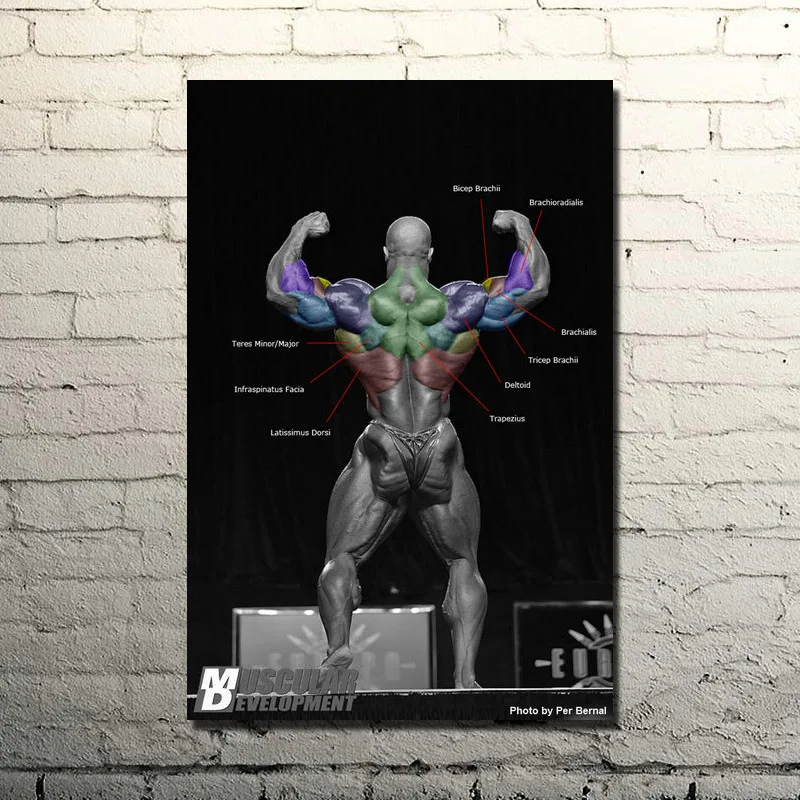 RONNIE COLEMAN Мотивационная для бодибилдинга Цитата арт шелка печати плакатов 13x20 24x36
