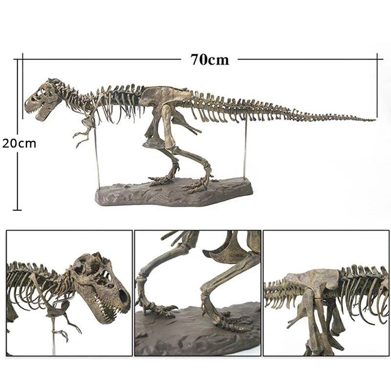 Большой динозавр Fossil череп модель животного игрушка тираннозавр рекс сборка