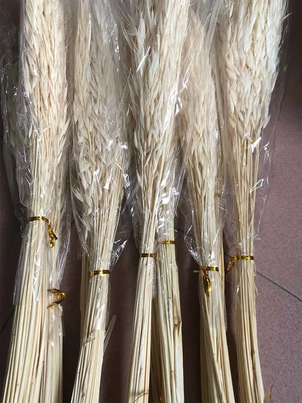 

10 Bundles Dried Bleached White Oats Grass Flower For Wedding Party Home Hotel Decoration DIY Bouquet Making