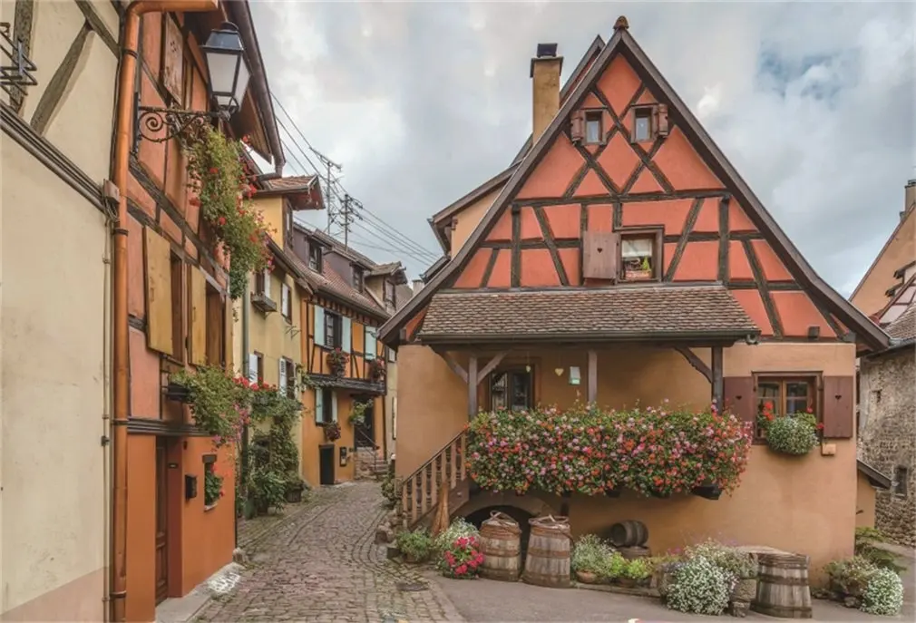 Photography Backdrop Floral Street in Eguisheim Alsace France Hot Pink Flowers Green Leaves Party | Электроника