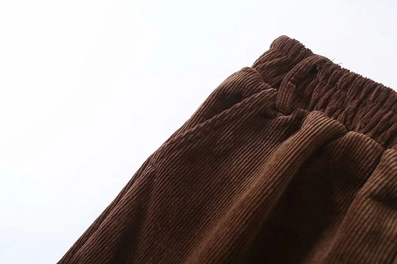 Winter Corduroy Pencil Pants Women Casual Elastic Waist streetwear Pant Solid High Waist trousers Women Loose Ladies Pants