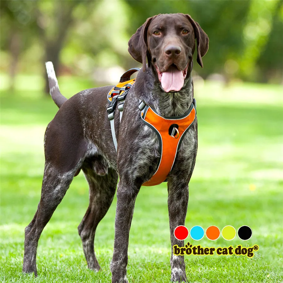 Светоотражающая шлейка для собак регулируемый уличный тренировочный жилет