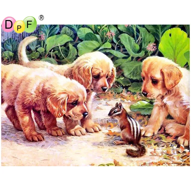 

DPF DIY подарок 5D полная круглая алмазная живопись собака игра белка Алмазная вышивка магический куб Вышивка крестиком Мозаика домашний декор