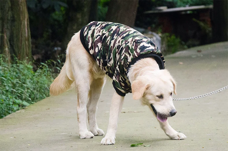 New Big Dog Camouflage Uniforms Double Thick Clothes Warm Pet Supplies Autumn and winter  gold hair Satsuma cool camouflage