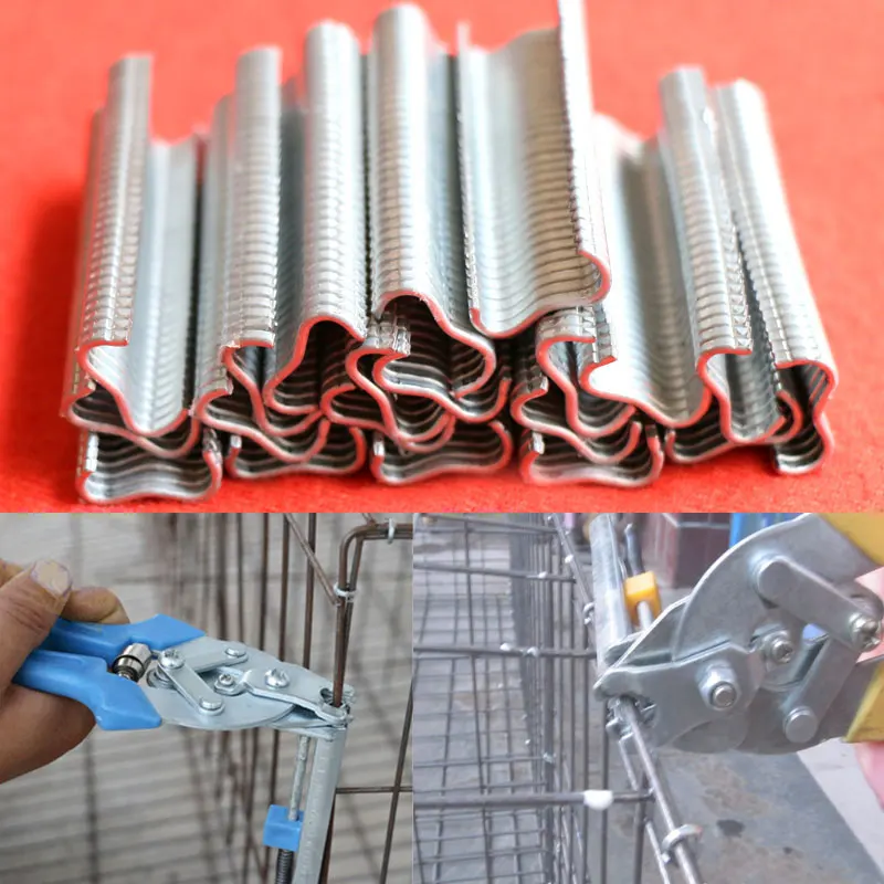 600 шт м ногтей клетки установлен утка птица клетка собаки курица кролик Установка