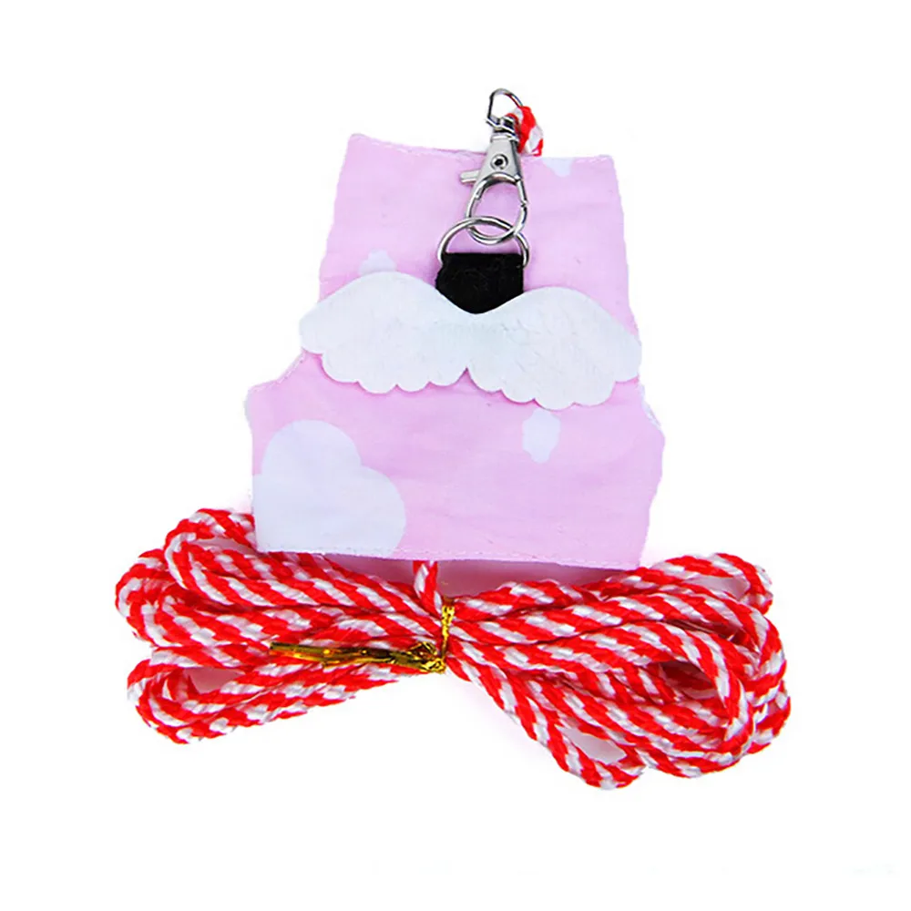 Cute Squirrel Harness Leash Small Pet Vest Suit Outdoor Jogging 1pcs Chest strap With1pcs traction rope Dog Supplies@30 | Дом и сад