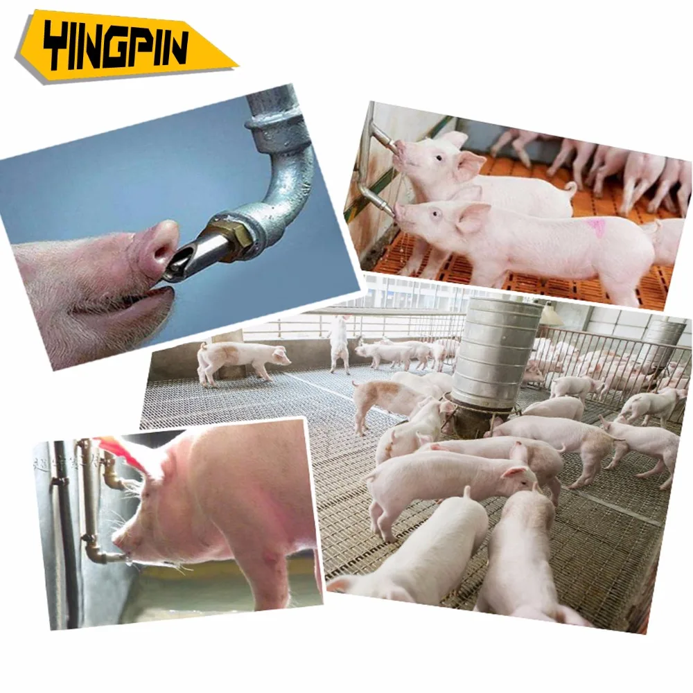 20 шт./лот поросенок из нержавеющей стали автоматическая подача воды