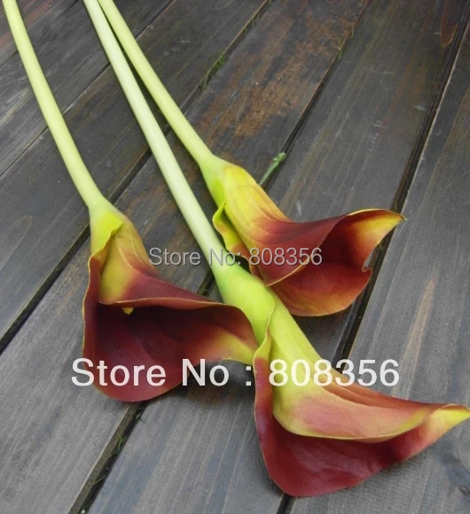 20 шт. настоящие натуральные цветы из искусственной кожи Calla Lily Alocasia Callas 23 62 &quotдля