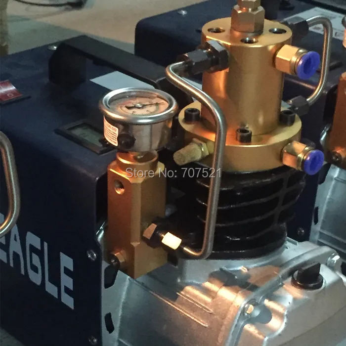 300 бар 400 бар 30 мпа 40 МПа 4500PSI 6000PSI воздушный насос высокого давления Электрический мини PCP воздушный компрессор 220 В для пневматического ружья акваланга
