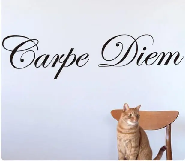ПВХ персонажи "Carpe Diem" стикер на стену наклейки для домашнего декора Украшение съемное Высокое качество Черный 60*14 см