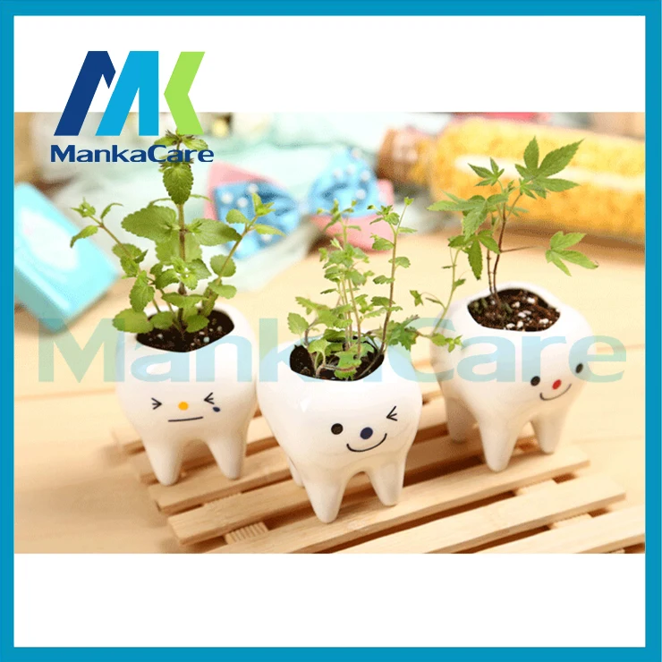 3 шт творческие зубы ванили растения в горшках горшок Стоматологическая игрушка