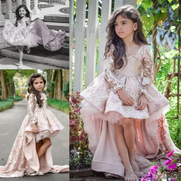 Picture Color Розовые Платья с цветочным узором для девочек г. Пышные платья с длинными рукавами для маленьких девочек, с длинным шлейфом, с кружевной аппликацией, Детские вечерние платья - Цвет: Picture Color