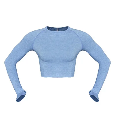 Blue Tops Хит, Женский комплект для йоги, укороченные рубашки, одежда для спортзала+ бесшовные леггинсы, спортивный костюм для тренировок, Женский комплект с длинным рукавом для фитнеса, одежда для активного отдыха - Цвет: Blue Tops