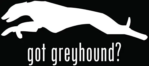 Получили Greyhound? Светоотражающий автомобиль боковая наклейка гоночный клей