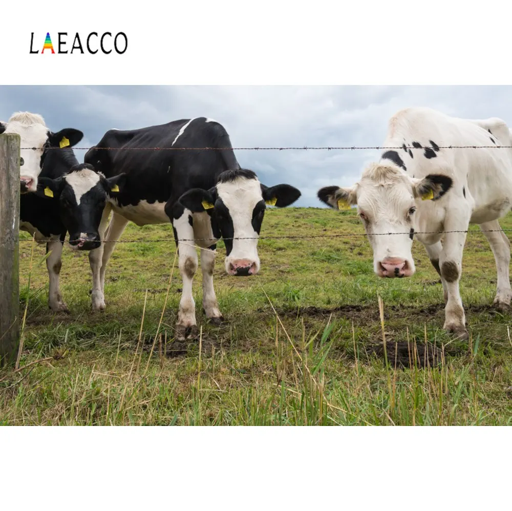 Фотофоны Laeacco для фотостудии фоны фотосъемки с фермой пастбищами коровой голубым