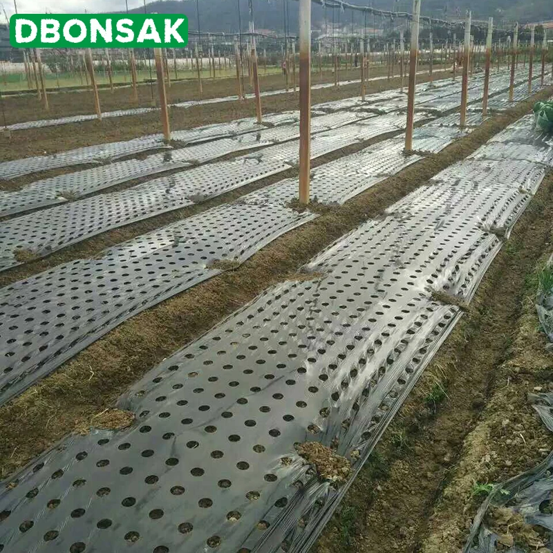 95 см * 50 м 5 отверстий 0 02 мм фотомагнитная пластиковая перфорированная пленка для