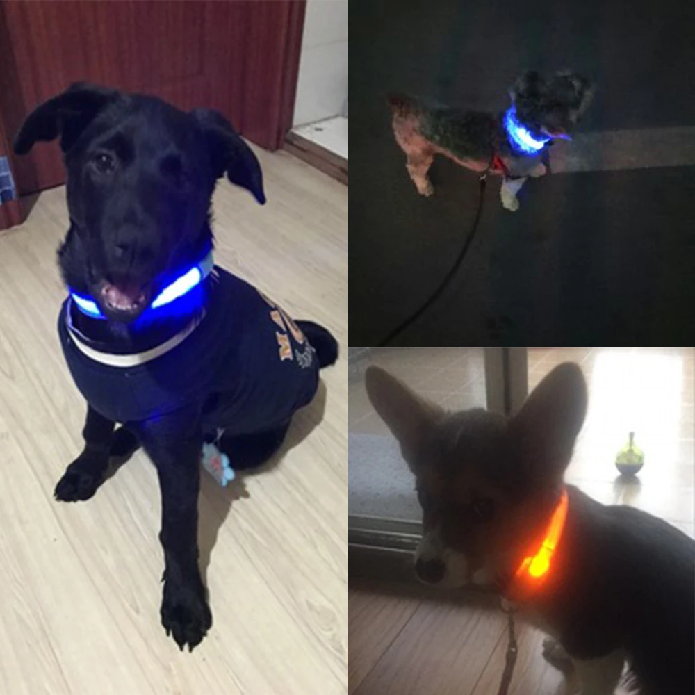 Hipidog светодио дный ошейник usb зарядка светящийся анти-потерянный нейлоновый свет