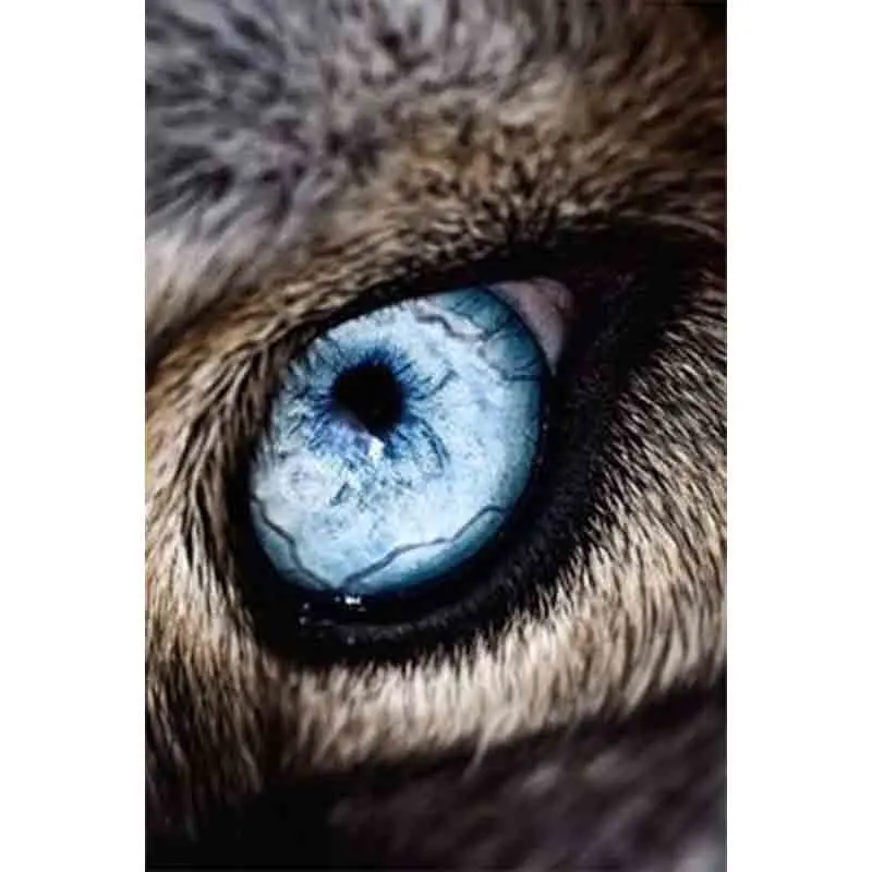 

Kexinzu полностью квадратная круглая дрель 5D DIY Алмазная картина "глаз" 3D вышивка крестиком Мозаика домашний Декор подарок