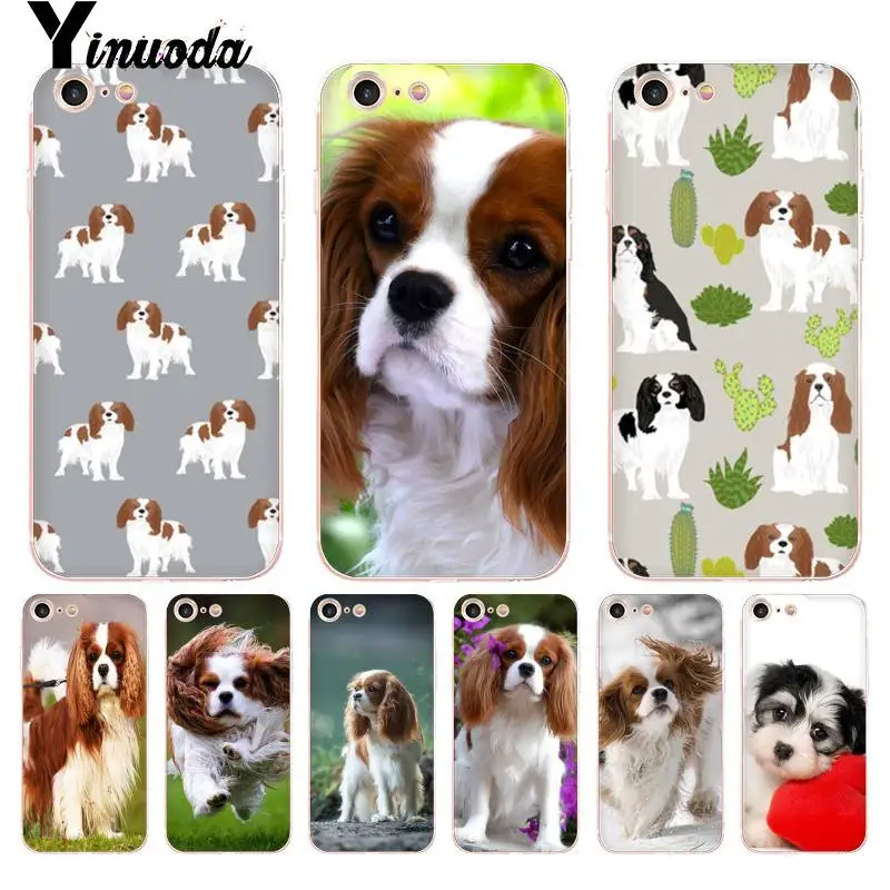 Прозрачный чехол Yinuoda для iphone 7 6 X iPhone 8 6S Plus 10 5 5S SE 5C XS XR|Бамперы| |