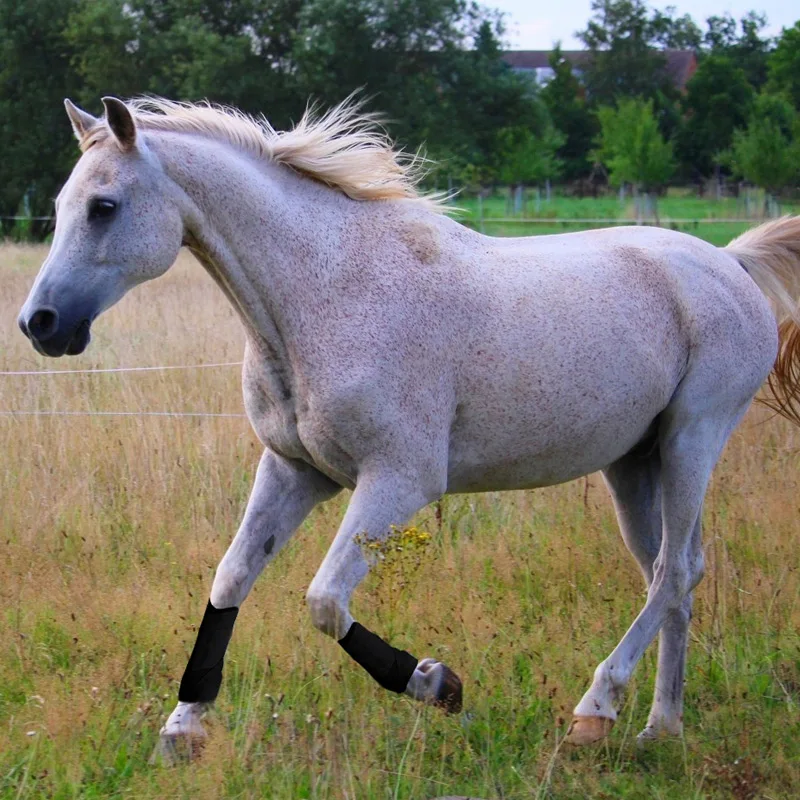 Сапоги для верховой езды Hisea paardensport высокоэластичные сапоги | Спорт и развлечения