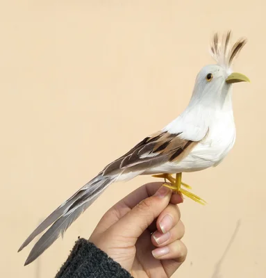 

new simulation Gray Oriole model toy plastic & furs bird gift about 22cm 1053