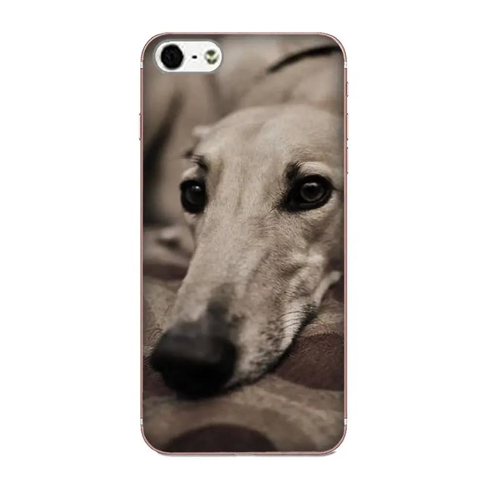 Galgo Greyhound Dog Для Huawei Mate 7 8 9 10 20 P8 P9 P10 P20 P30 Lite Plus Pro 2017 TPU Live Love Phone|Чехлы-накладки| |