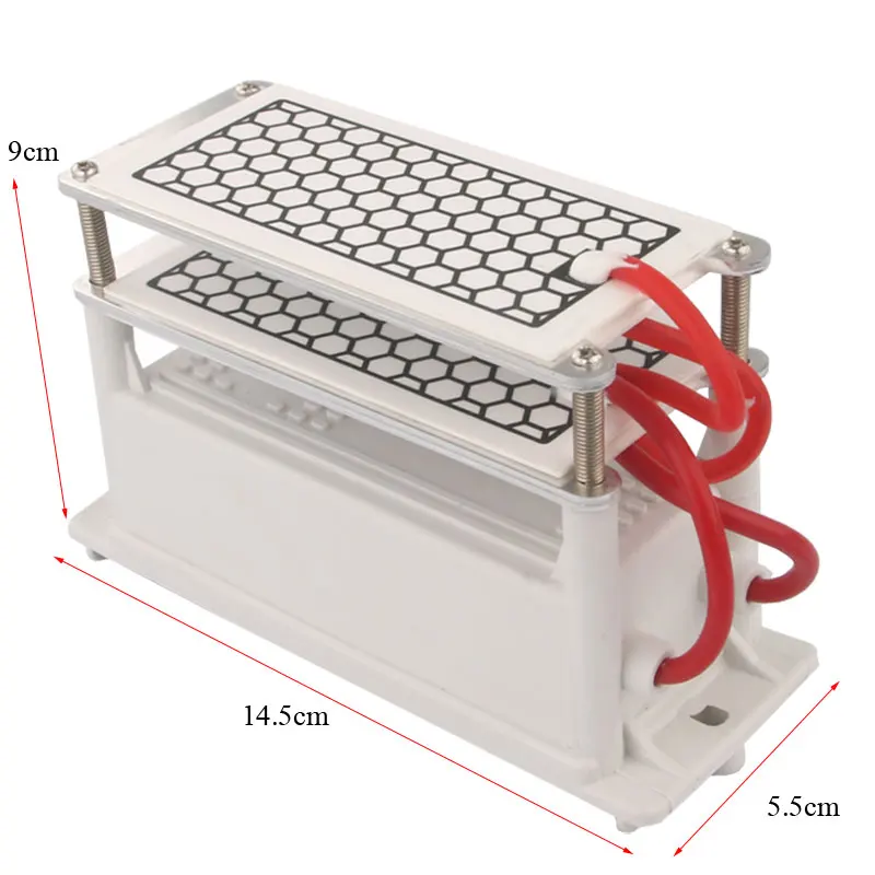 Ozone Generator 20g 220V double Ceramic Plate Ozonizer for water Air sterilize Purifier treatment Integrated ozone generator
