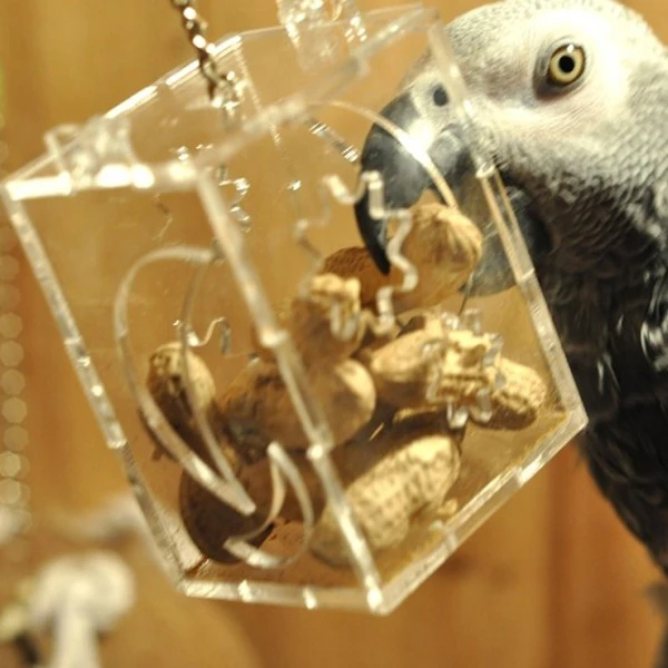 Мир питомцев 2015 горячая Распродажа милые птицы маленькие кормушки ариловый