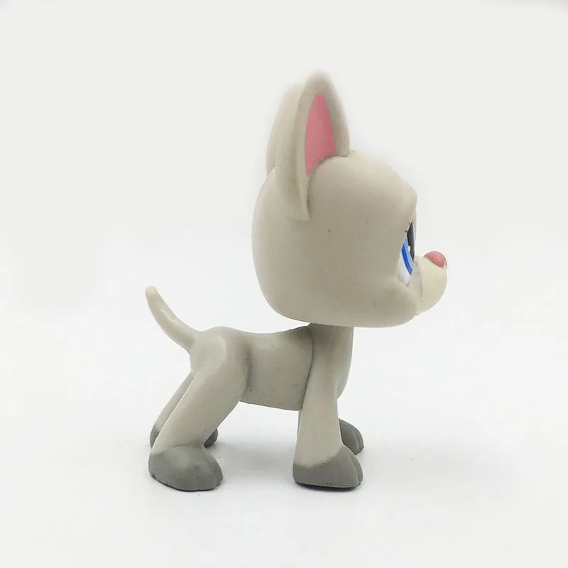 LPS CAT редкий оригинальный pet shop Симпатичные игрушки #1688 светильник серый дог щенок