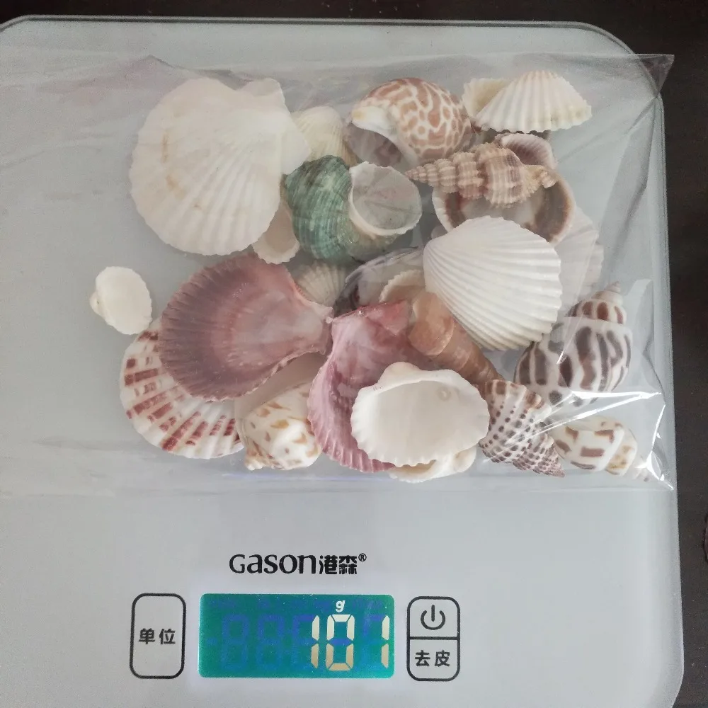 100 г модные украшения для пляжа женские ракушки рукоделия декоративные горячая