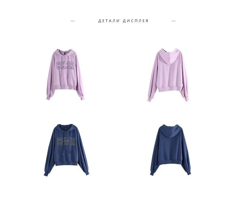 Toyouth New Autumn Purple Lazy Women Sweatshirts Plus Over Hooded Pullovers Embroidery Long Sleeve Stylish Female Tops Hoodies