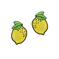 creative lemon fruit custom iron on patch for clothing embroidery appliques badges for decorate clothing bag diy