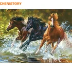 CHENISTORY Horse DIY Цифровая масляная Набор для рисования по номерам Раскраска по номерам, уникальный подарок для украшения дома 40x50 см