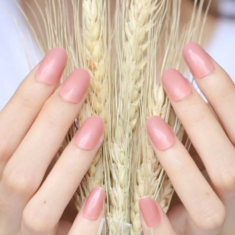 24 шт. новые модные милые конфеты Овальный отличный Сенсорный дизайн поддельные ногти светильник коричневый P385X
