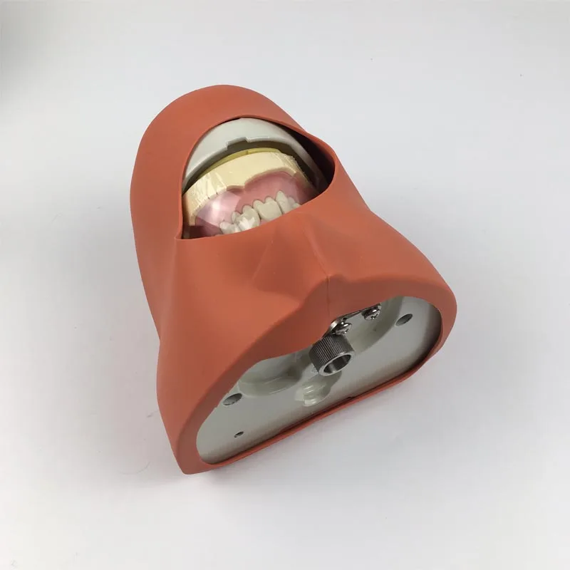

Dental phantom head model NISSIN Dental manikins and models Phantom Head Dental for for teaching and learning in dental classes