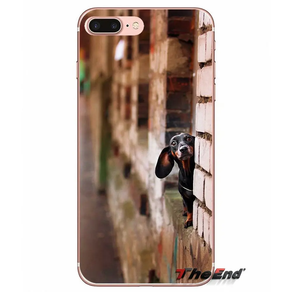 Силиконовый чехол для Samsung Galaxy S3 S4 S5 MINI S6 S7 edge S8 Plus Note 2 3 4 5 Grand Core Prime Dachshund Teckel Dackel Dog |