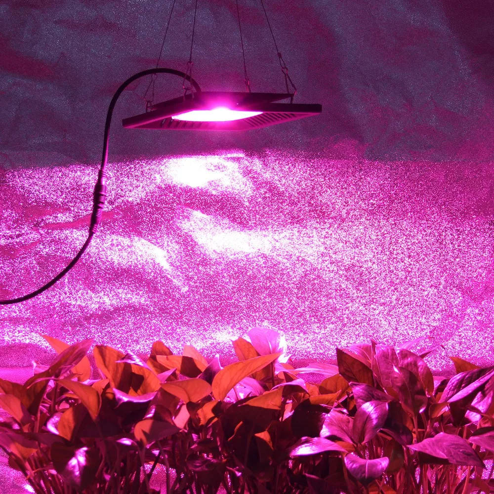 Водонепроницаемый IP67 COB Led Grow Light полный спектр 100 Вт ультра тонкая Светодиодная
